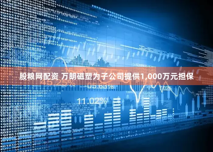 股粮网配资 万朗磁塑为子公司提供1,000万元担保