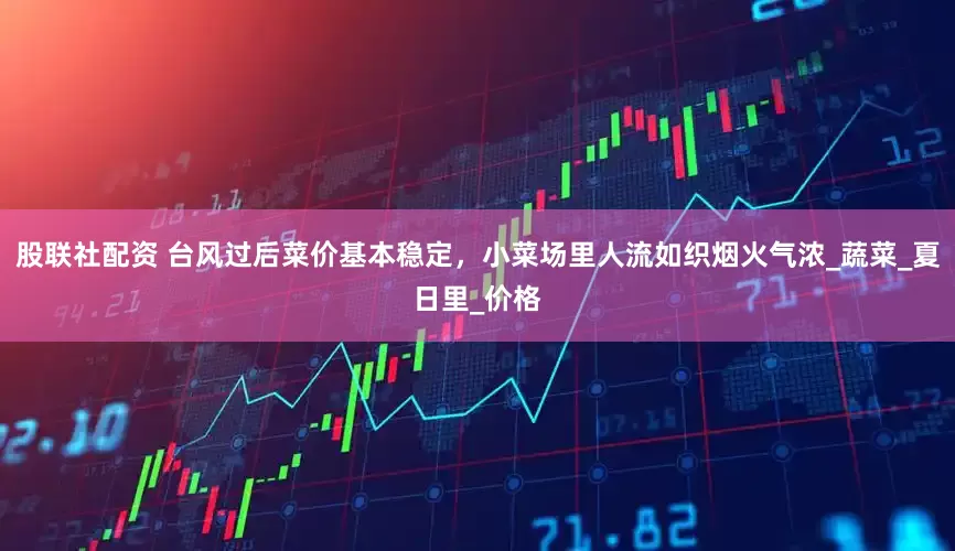 股联社配资 台风过后菜价基本稳定，小菜场里人流如织烟火气浓_蔬菜_夏日里_价格