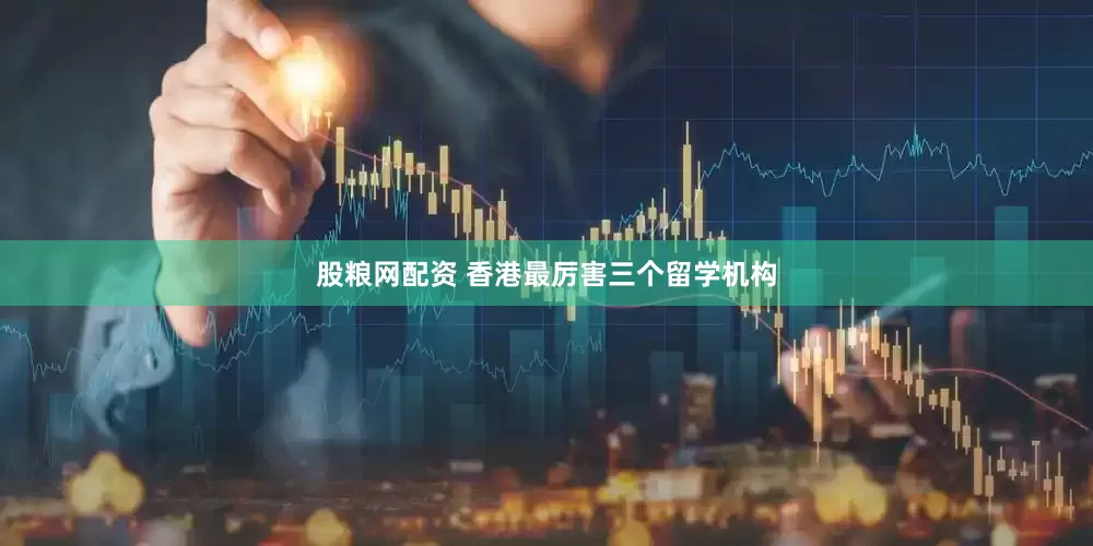 股粮网配资 香港最厉害三个留学机构