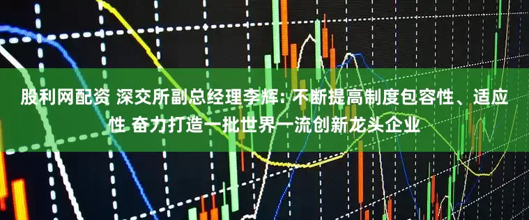股利网配资 深交所副总经理李辉: 不断提高制度包容性、适应性 奋力打造一批世界一流创新龙头企业